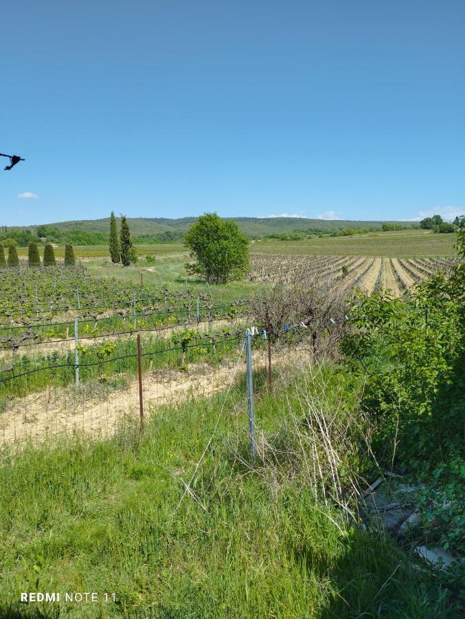 Chambre D Hotes En Provence, Au Pied Du Luberon, Les Coquelicots La Tour-dʼAigues Exteriör bild