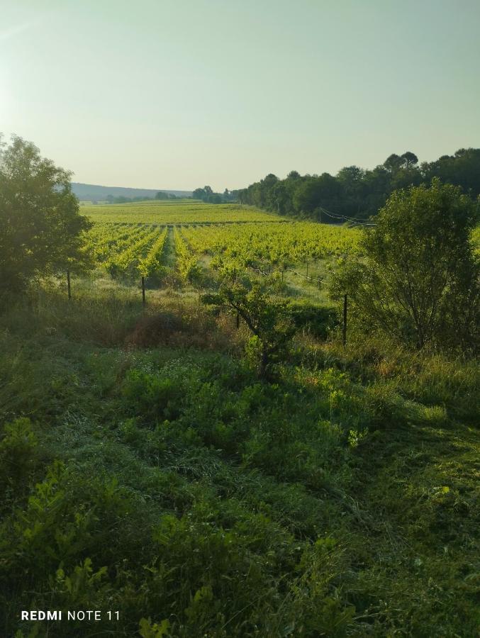 Chambre D Hotes En Provence, Au Pied Du Luberon, Les Coquelicots La Tour-dʼAigues Exteriör bild